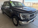 2021 F-150 Thumbnail 3