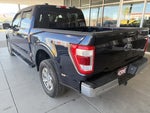 2021 F-150 Thumbnail 8