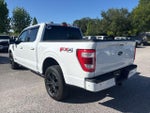 2021 F-150 Thumbnail 7