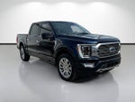 2022 F-150 Thumbnail 7