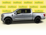 2023 F-150 Thumbnail 10