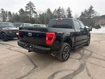 2023 F-150 Thumbnail 8