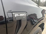 2023 F-150 Thumbnail 11