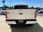2023 F-150 Thumbnail 6