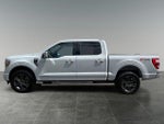 2023 F-150 Thumbnail 5