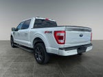 2023 F-150 Thumbnail 7