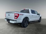 2023 F-150 Thumbnail 9