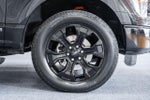 2023 F-150 Thumbnail 18