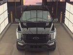 2023 F-150 Thumbnail 3