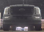 2023 F-150 Thumbnail 4