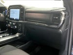 2023 F-150 Thumbnail 10