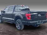 2023 F-150 Thumbnail 25