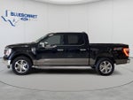 2023 F-150 Thumbnail 8