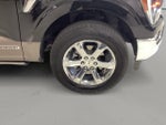 2023 F-150 Thumbnail 10