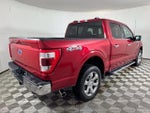 2023 F-150 Thumbnail 3