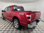 2023 F-150 Thumbnail 6