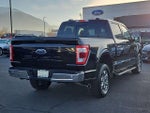 2023 F-150 Thumbnail 3