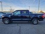 2023 F-150 Thumbnail 6