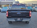 2023 F-150 Thumbnail 4