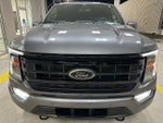 2023 F-150 Thumbnail 10
