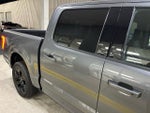2023 F-150 Thumbnail 13