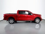 2023 F-150 Thumbnail 14