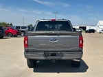 2023 F-150 Thumbnail 5