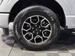 2023 F-150 Thumbnail 10