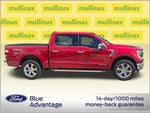 2023 F-150 Thumbnail 2