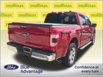 2023 F-150 Thumbnail 4