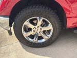 2023 F-150 Thumbnail 12