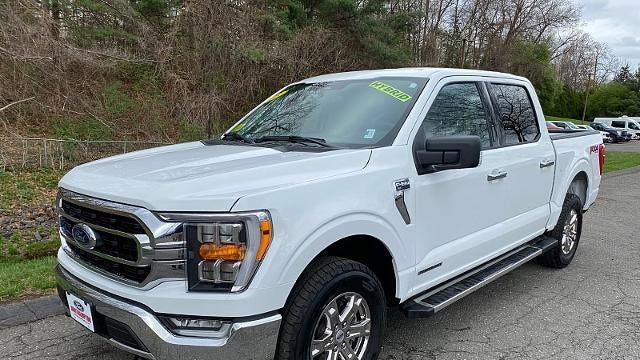 Preowned 2023 Ford F-150 XL for Sale