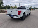 2023 F-150 Thumbnail 4