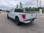 2023 F-150 Thumbnail 7