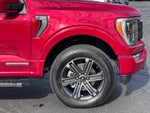 2023 F-150 Thumbnail 49