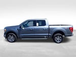 2023 F-150 Thumbnail 4