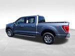 2023 F-150 Thumbnail 5
