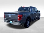 2023 F-150 Thumbnail 6