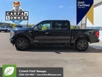 2023 F-150 Thumbnail 8