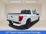 2023 F-150 Thumbnail 8