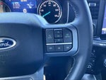 2023 F-150 Thumbnail 19