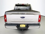 2023 F-150 Thumbnail 11