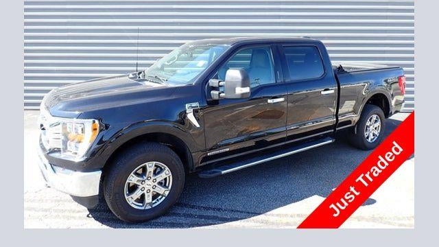 Preowned 2023 Ford F-150 Platinum for Sale