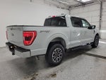 2023 F-150 Thumbnail 3