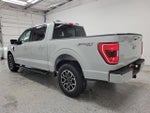 2023 F-150 Thumbnail 4