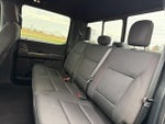 2021 F-150 Thumbnail 8