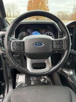 2021 F-150 Thumbnail 15