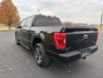 2021 F-150 Thumbnail 4