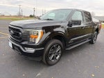 2021 F-150 Thumbnail 17