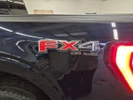 2021 F-150 Thumbnail 10